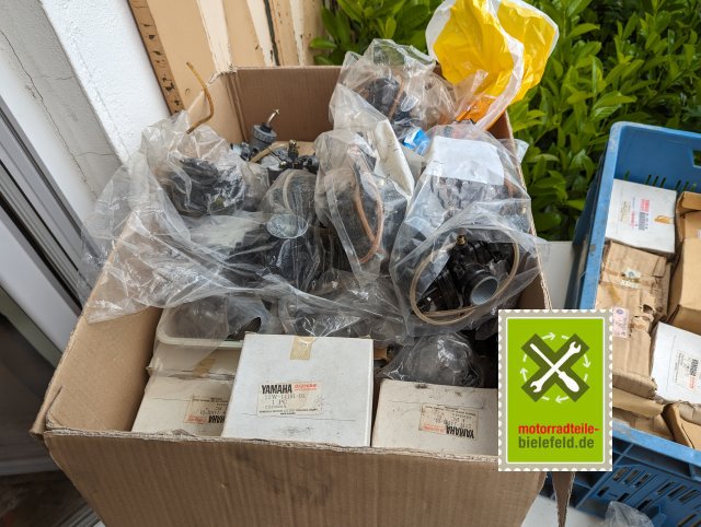 PXL_20240517_105756424